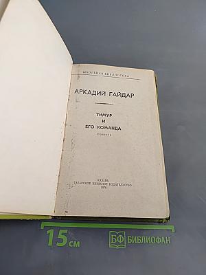 Тимур и его команда