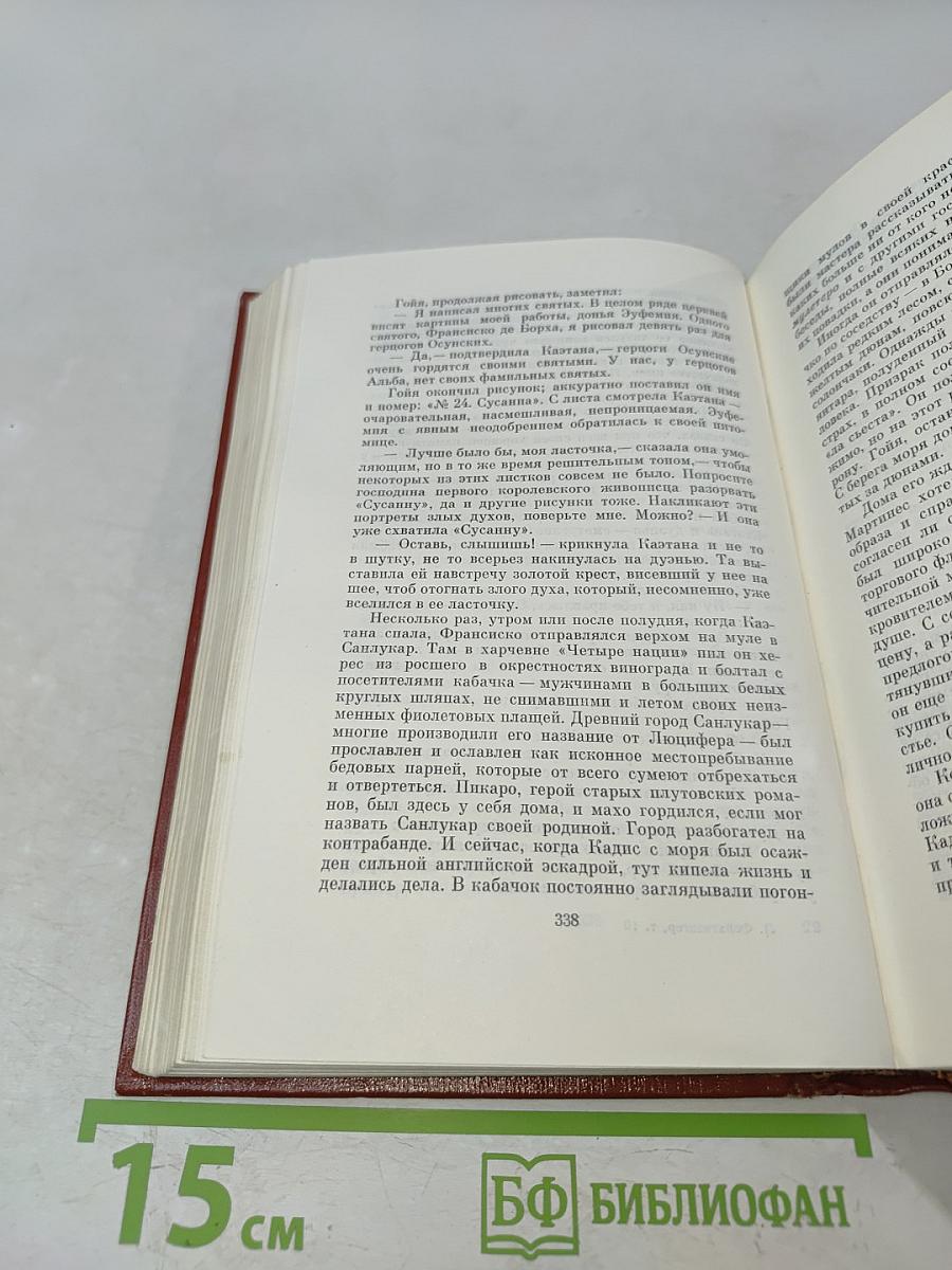 Гойя, или Тяжкий путь познания. Собрание сочинений в десяти томах. Том десятый