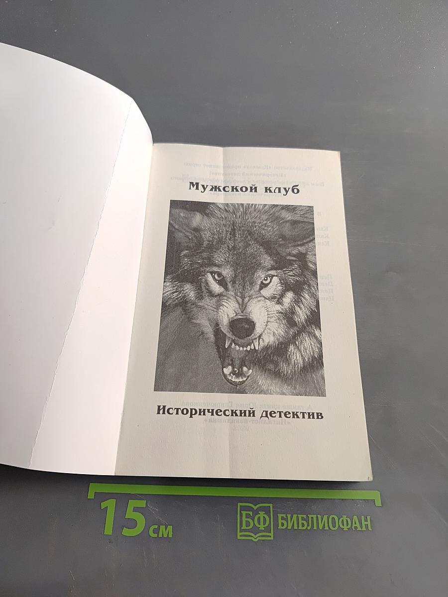 Княжий сыск. Последняя святыня