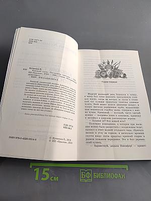 Княжий сыск. Последняя святыня