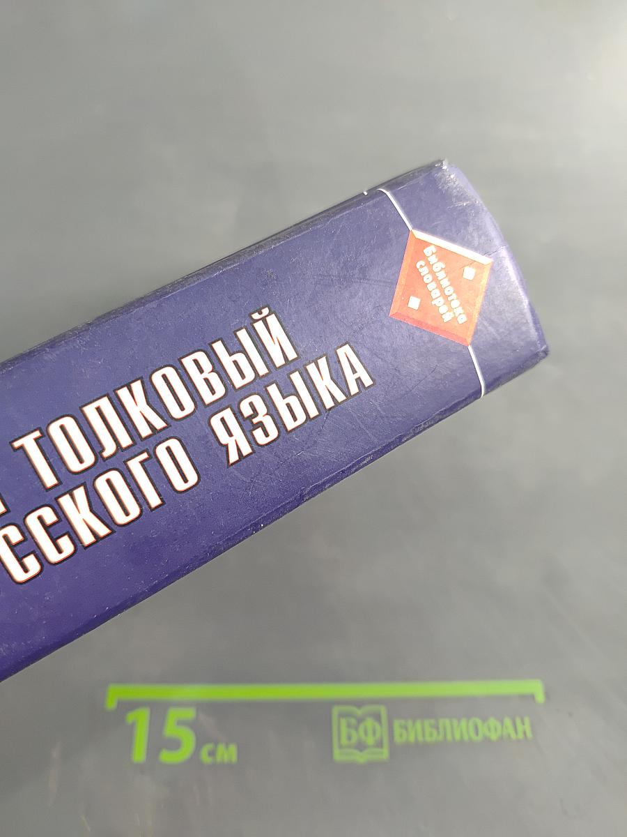 Школьный толковый словарь русского языка