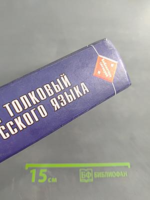 Школьный толковый словарь русского языка