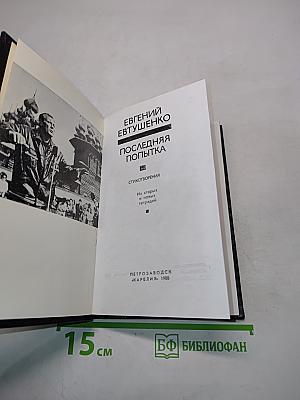 Последняя попытка. Стихотворения