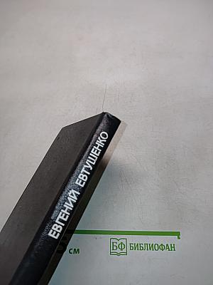 Последняя попытка. Стихотворения
