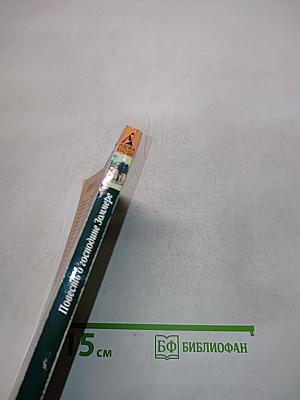 Повесть о господине Зомере