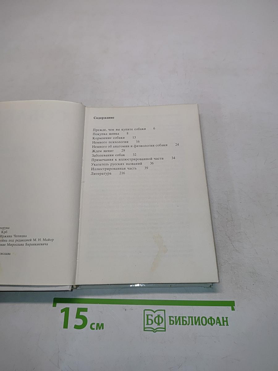 Собаки