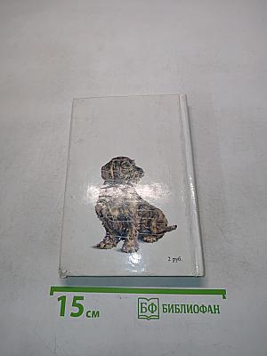 Собаки