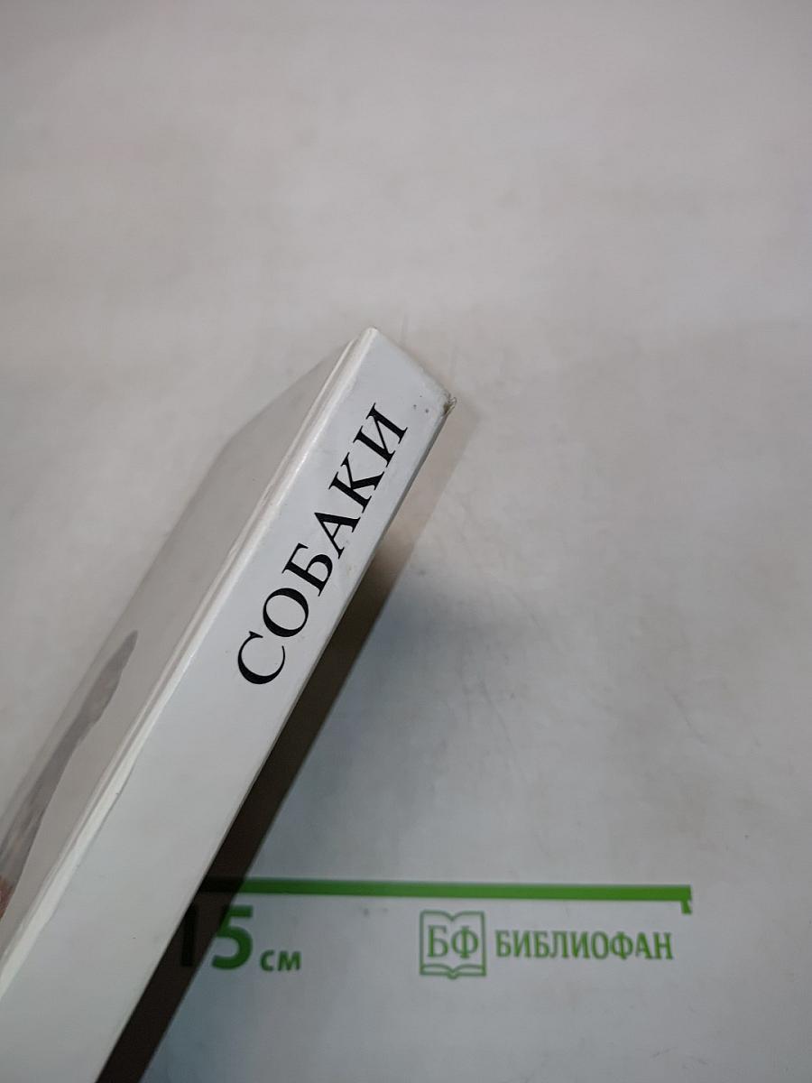 Собаки