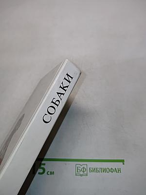 Собаки