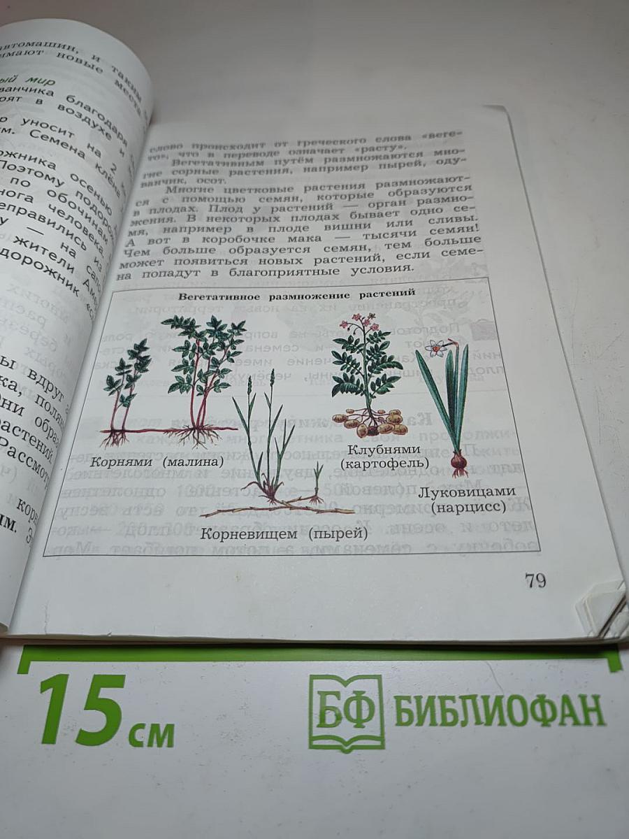 Окружающий мир. 3 класс. Часть первая