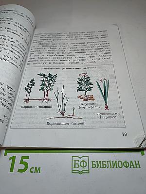 Окружающий мир. 3 класс. Часть первая
