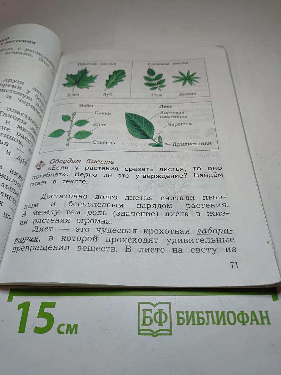 Окружающий мир. 3 класс. Часть первая
