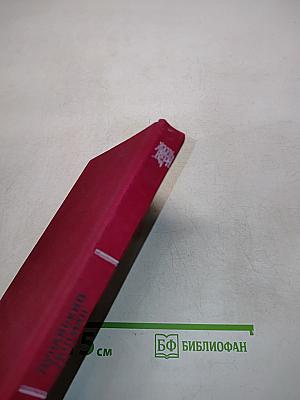 Дунайский лоцман