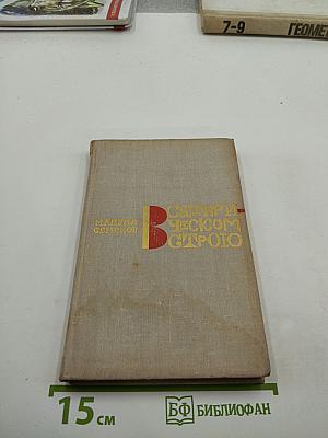 В Сатирическом Строю