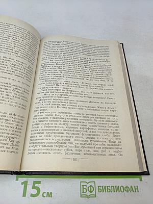 Страстное путешествие, или Жизнь художника