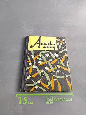 Аптека в лесу. Ботанические экскурсии