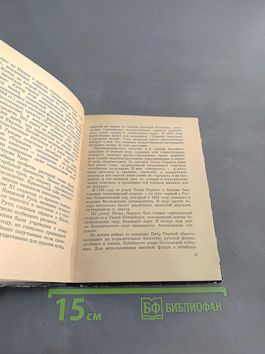 Аптека в лесу. Ботанические экскурсии