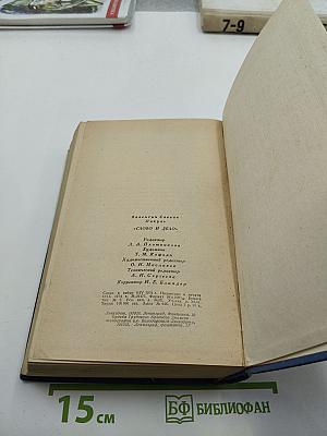 Слово и Дело. Книга 1: Царица Престрашного Зраку