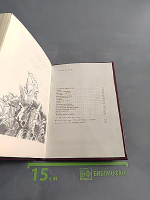 Зерна