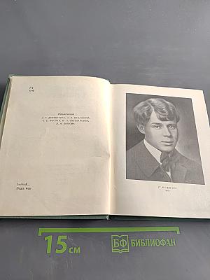 Собрание сочинений в пяти томах. Том второй. Стихотворения. Драматические поэмы (Октябрь 1917–1923)