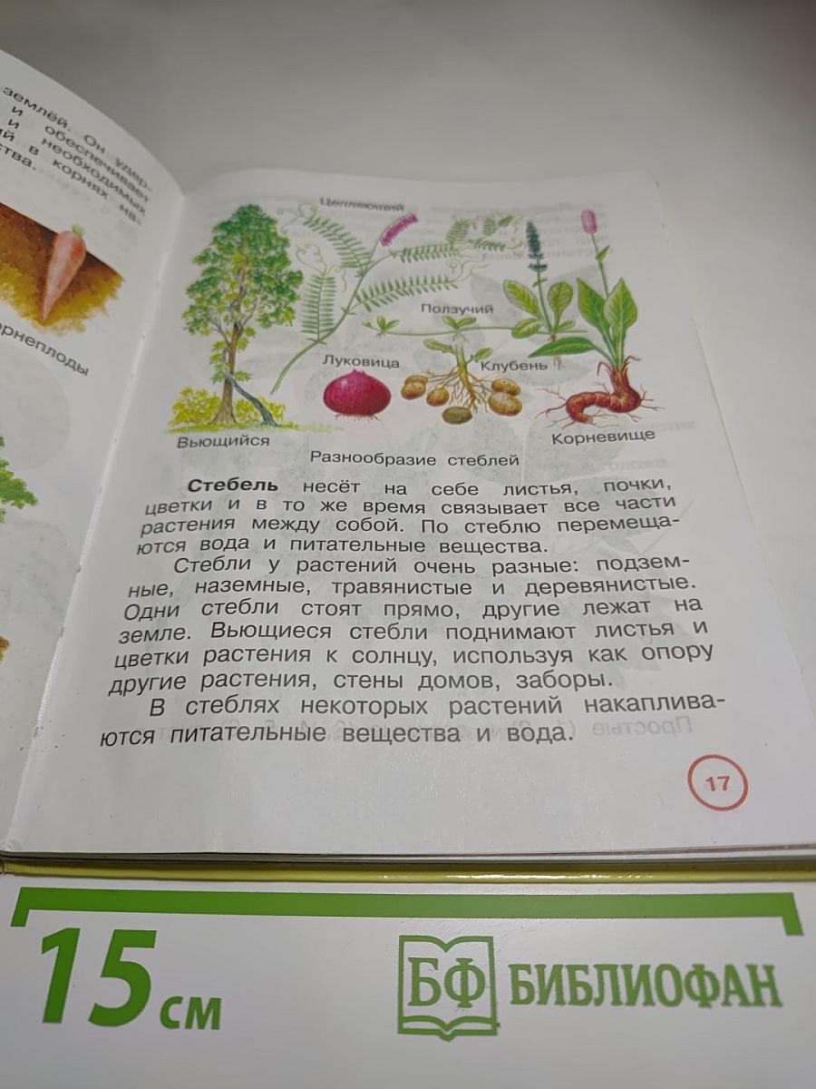 Окружающий мир 3 класс Часть первая