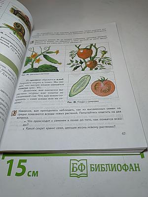 Биология 5 класс. Живая природа