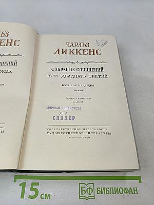 Собрание сочинений. Том двадцать третий. Большие надежды