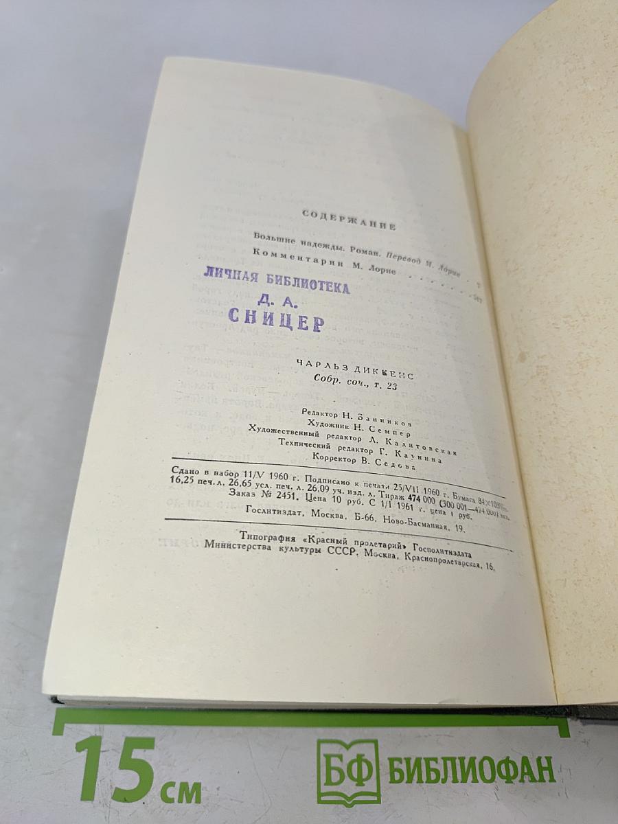 Собрание сочинений. Том двадцать третий. Большие надежды