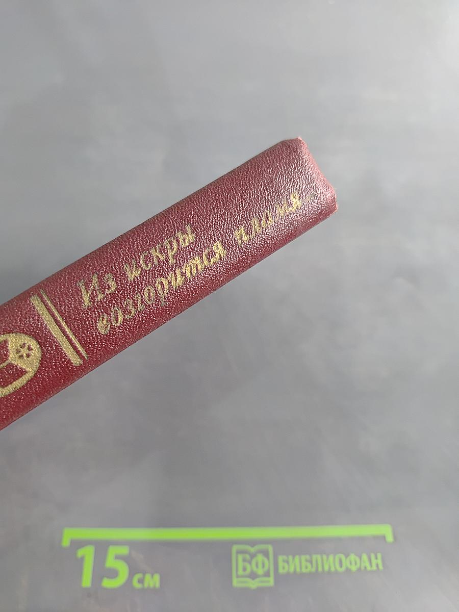 Из искры возгорится пламя...