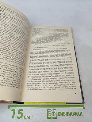 Блики на портрете