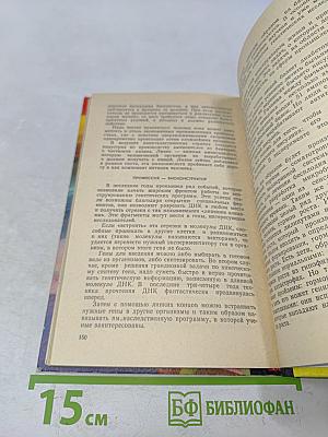 Блики на портрете