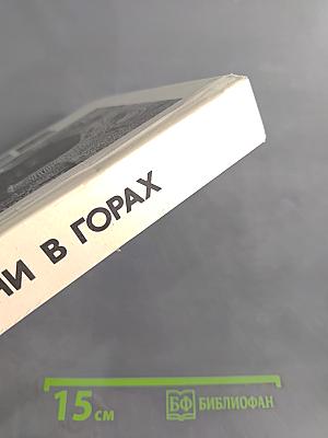 Башни в горах
