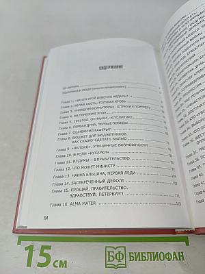 Противостояние. 20 лет в политике