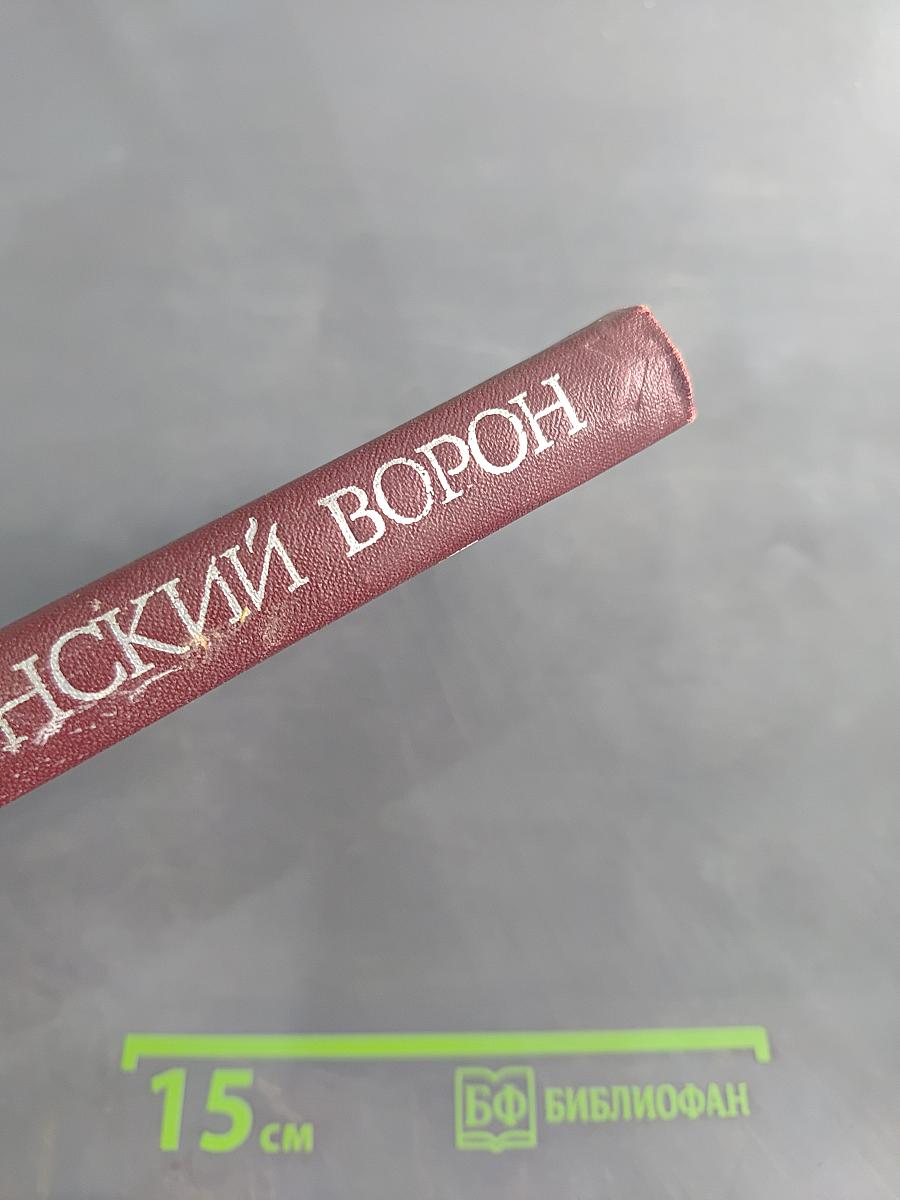 Юконский ворон