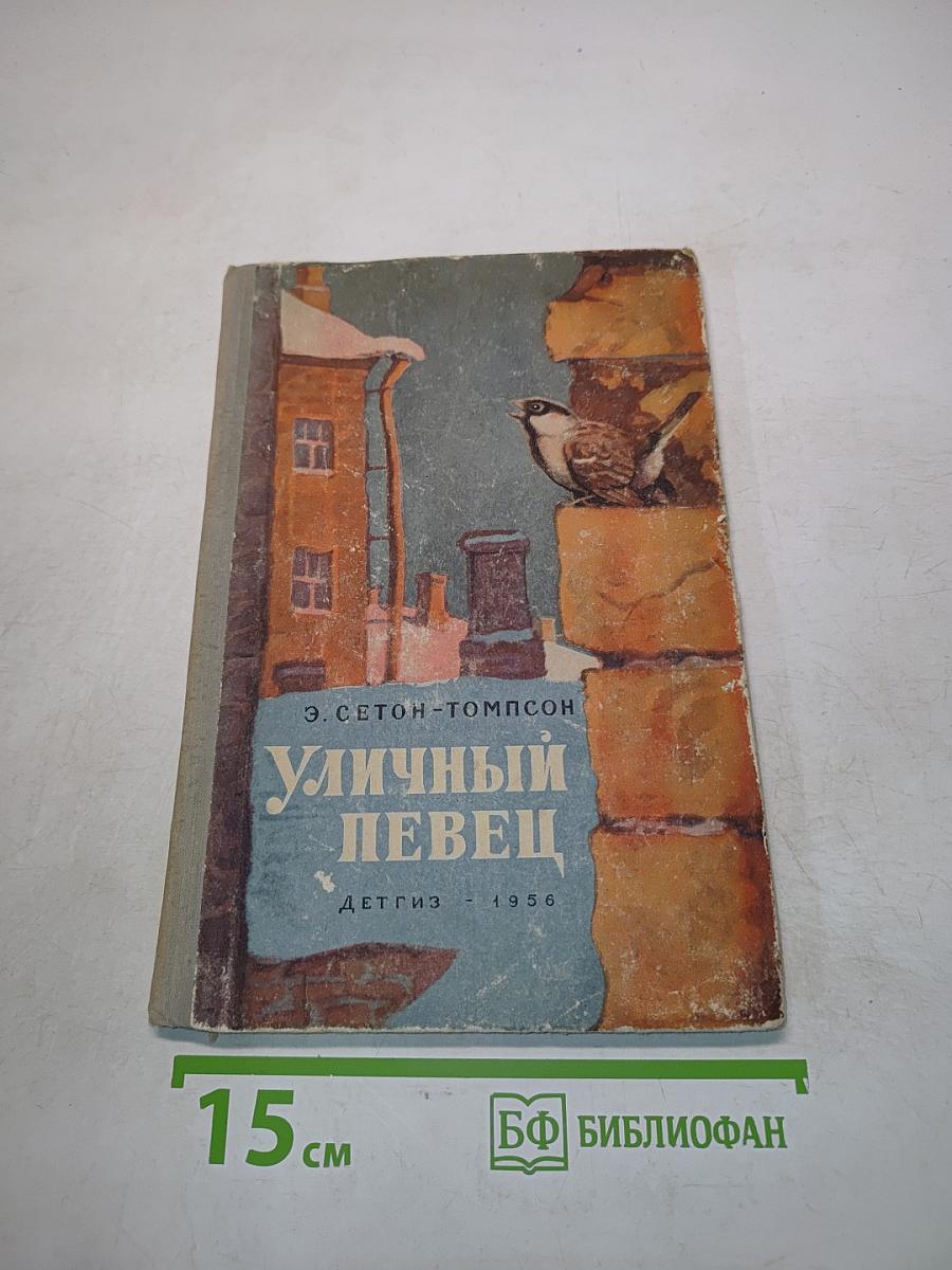 Уличный певец
