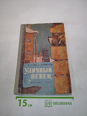 Уличный певец