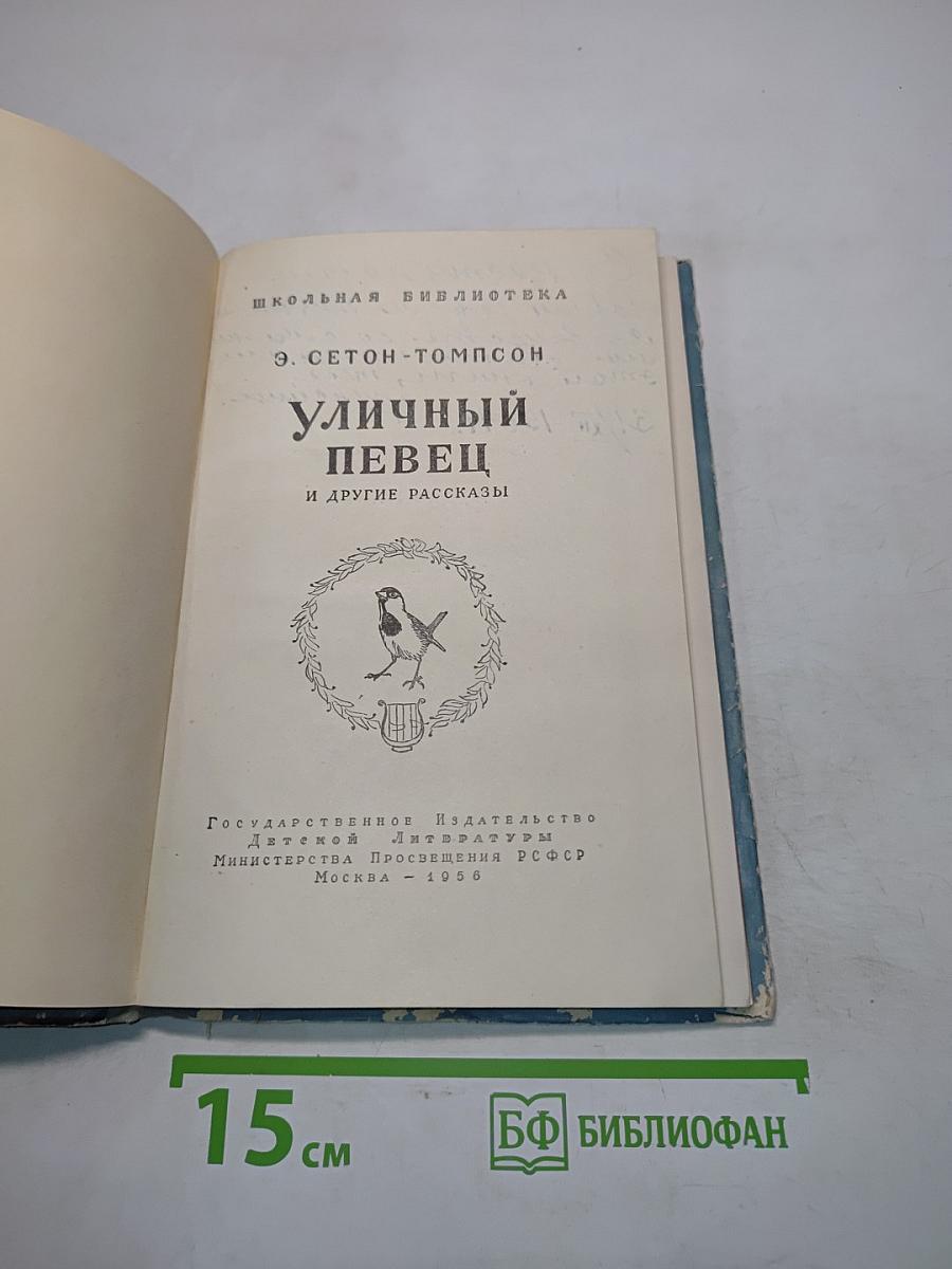 Уличный певец