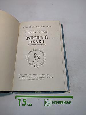 Уличный певец