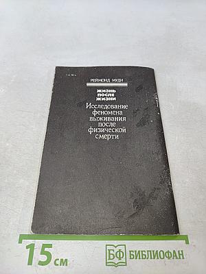 Жизнь после жизни