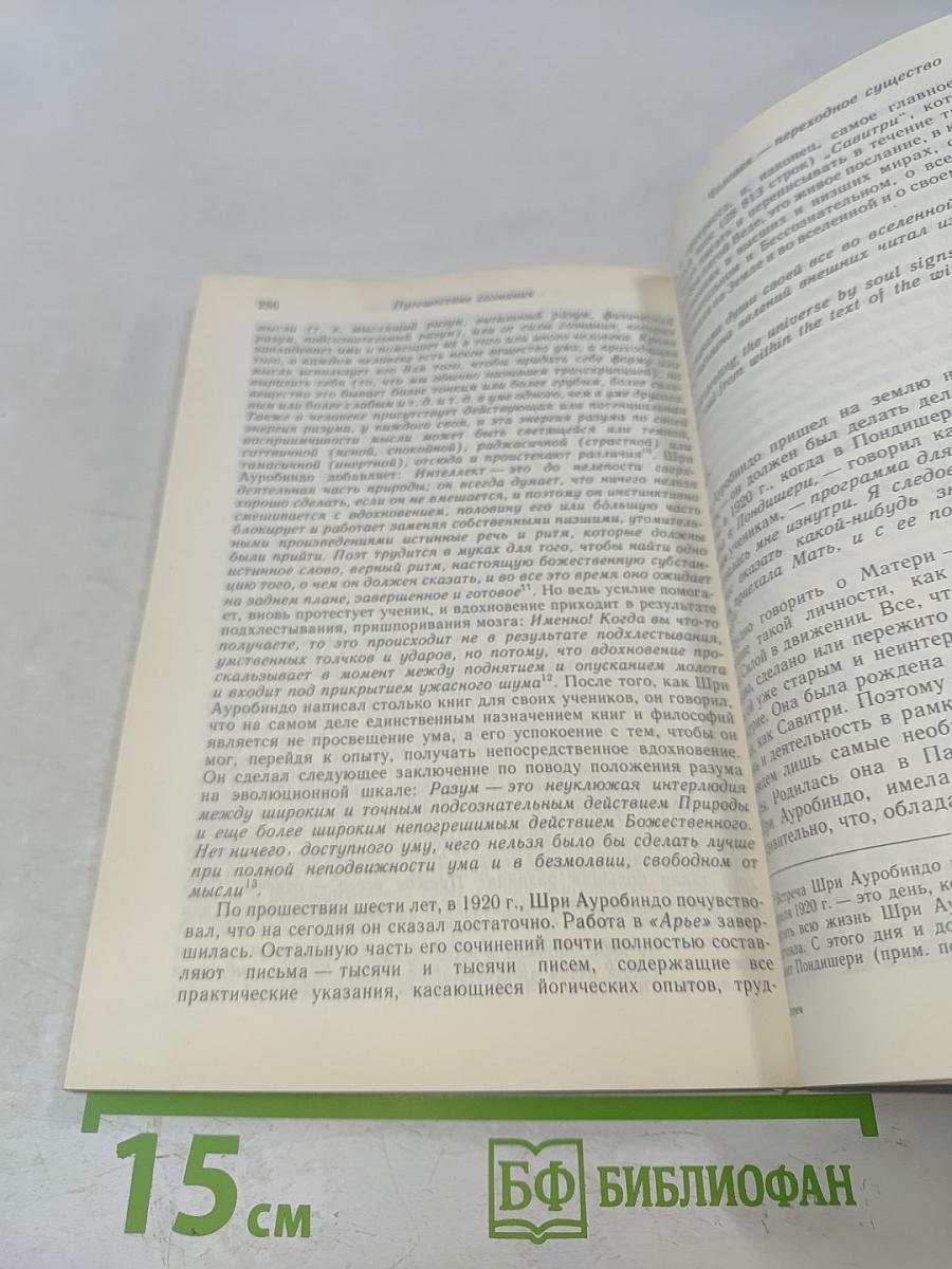 Шри Ауробиндо, или Путешествие сознания