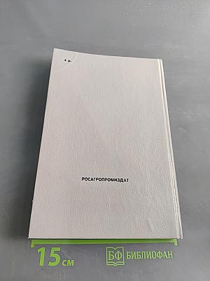Современный усадебный дом