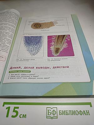 Биология 6 класс