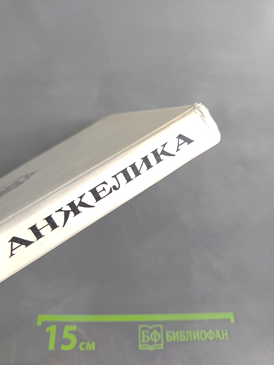 Анжелика и король. Книга 3