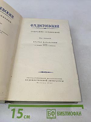 Братья Карамазовы. Том десятый