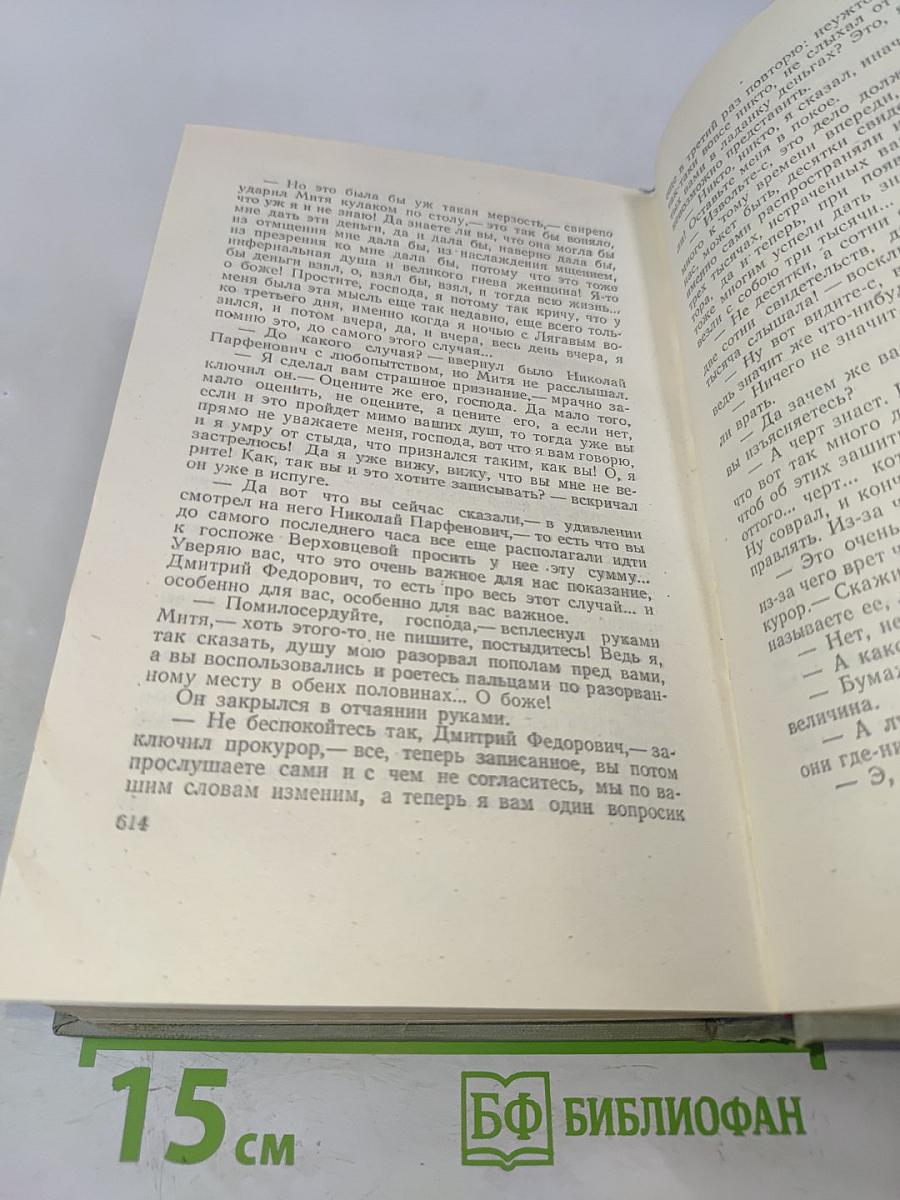Братья Карамазовы. Том десятый