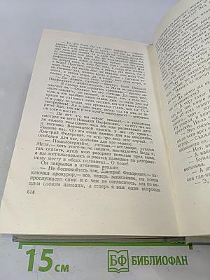 Братья Карамазовы. Том десятый