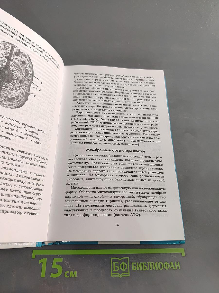 Анатомия и физиология человека с основами общей патологии