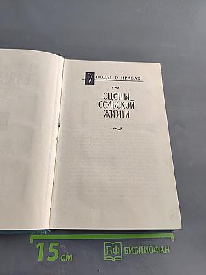 Человеческая комедия. Том 17