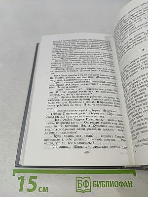 Крепостной шпион