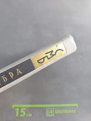 Высшая алгебра